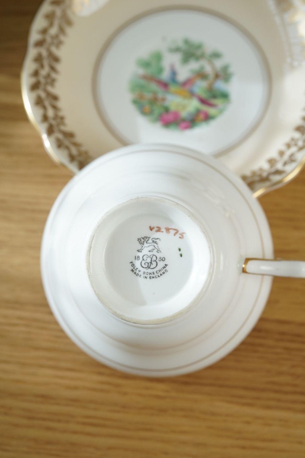 640924304_2356754408159592_6233111700743588973_n