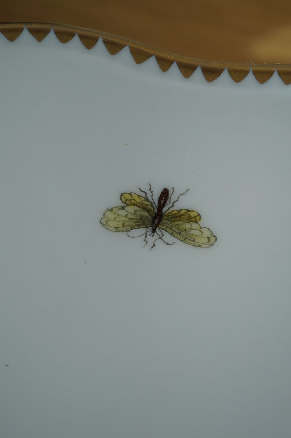 640937200_2356748531493513_453651558546642992_n