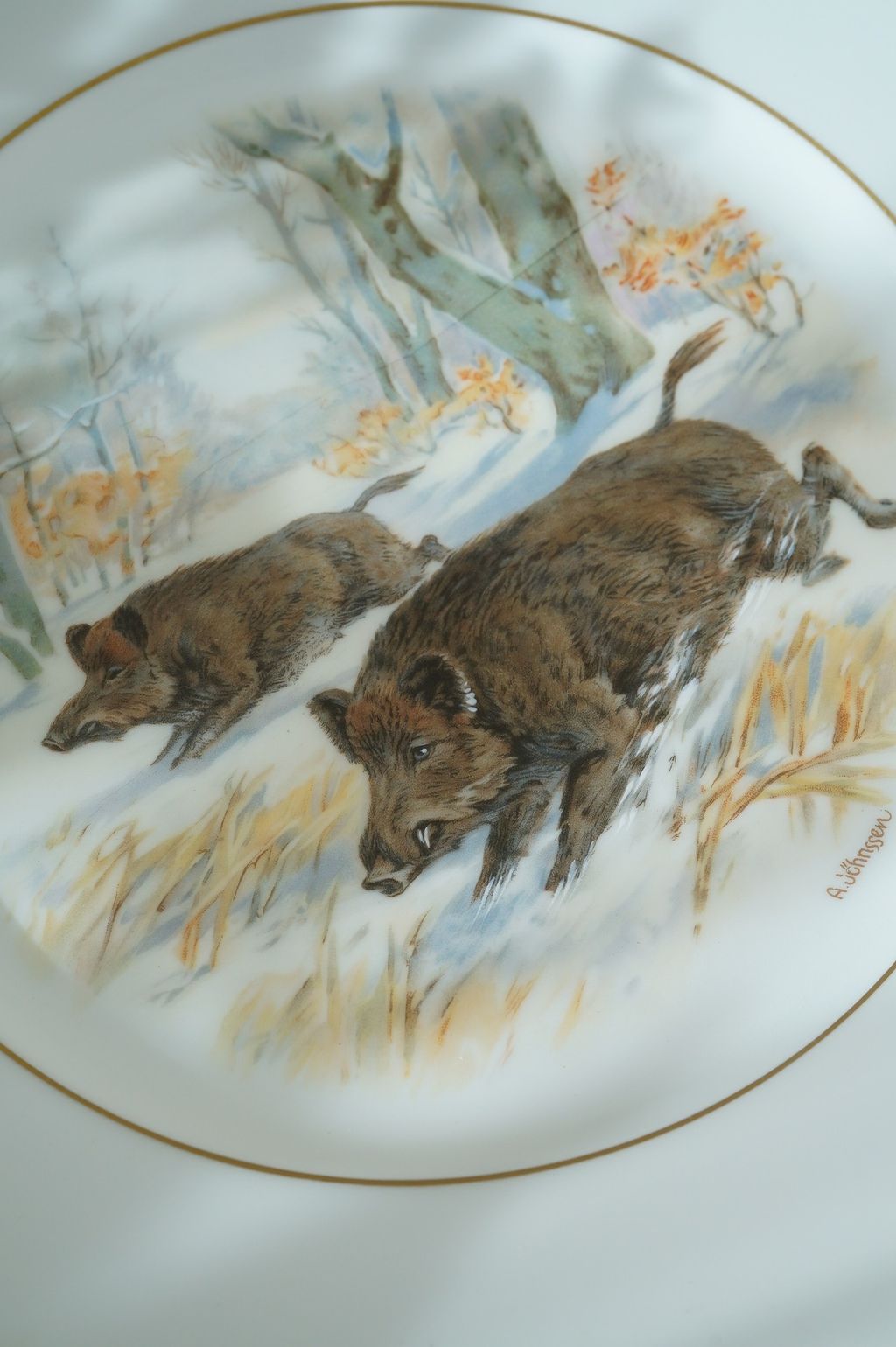 646681844_2364378550730511_45941125658761256_n