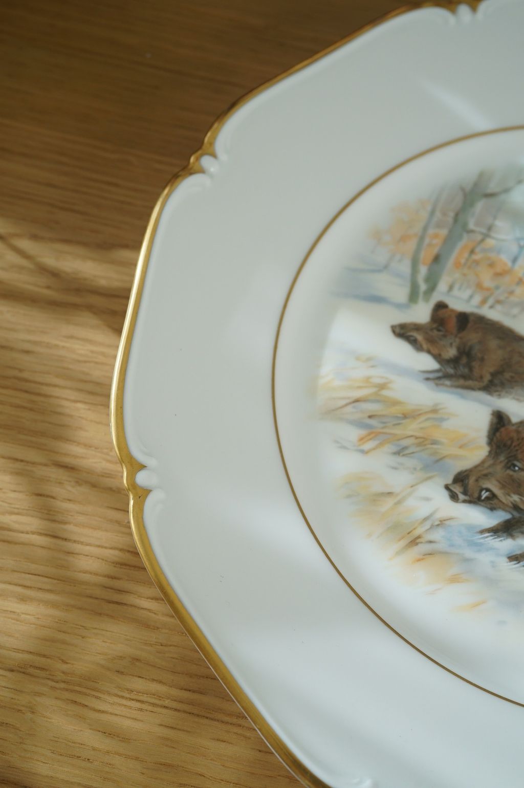 647149229_2364378514063848_5022798540036892269_n