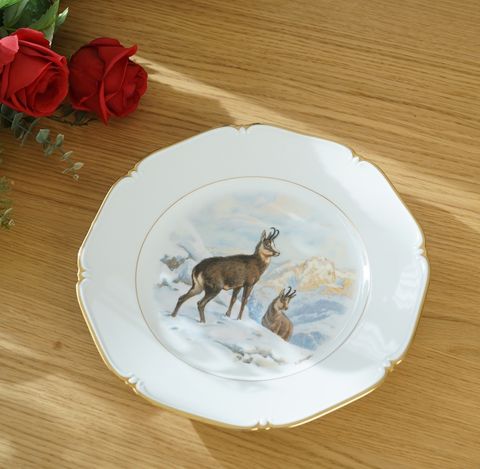 650430496_2368397083661991_6279897387721764628_n