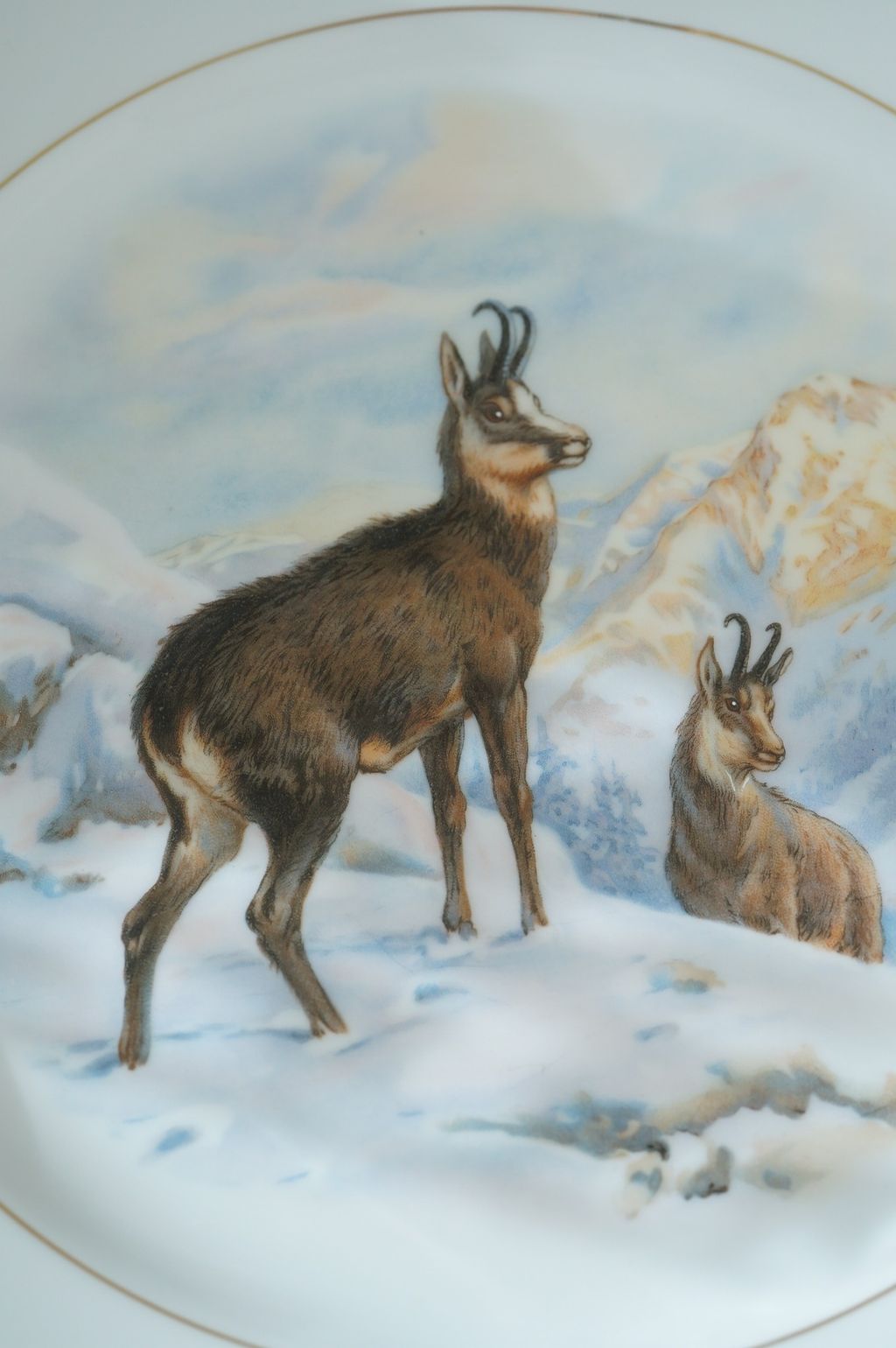 646708294_2364375537397479_8453354742389716822_n