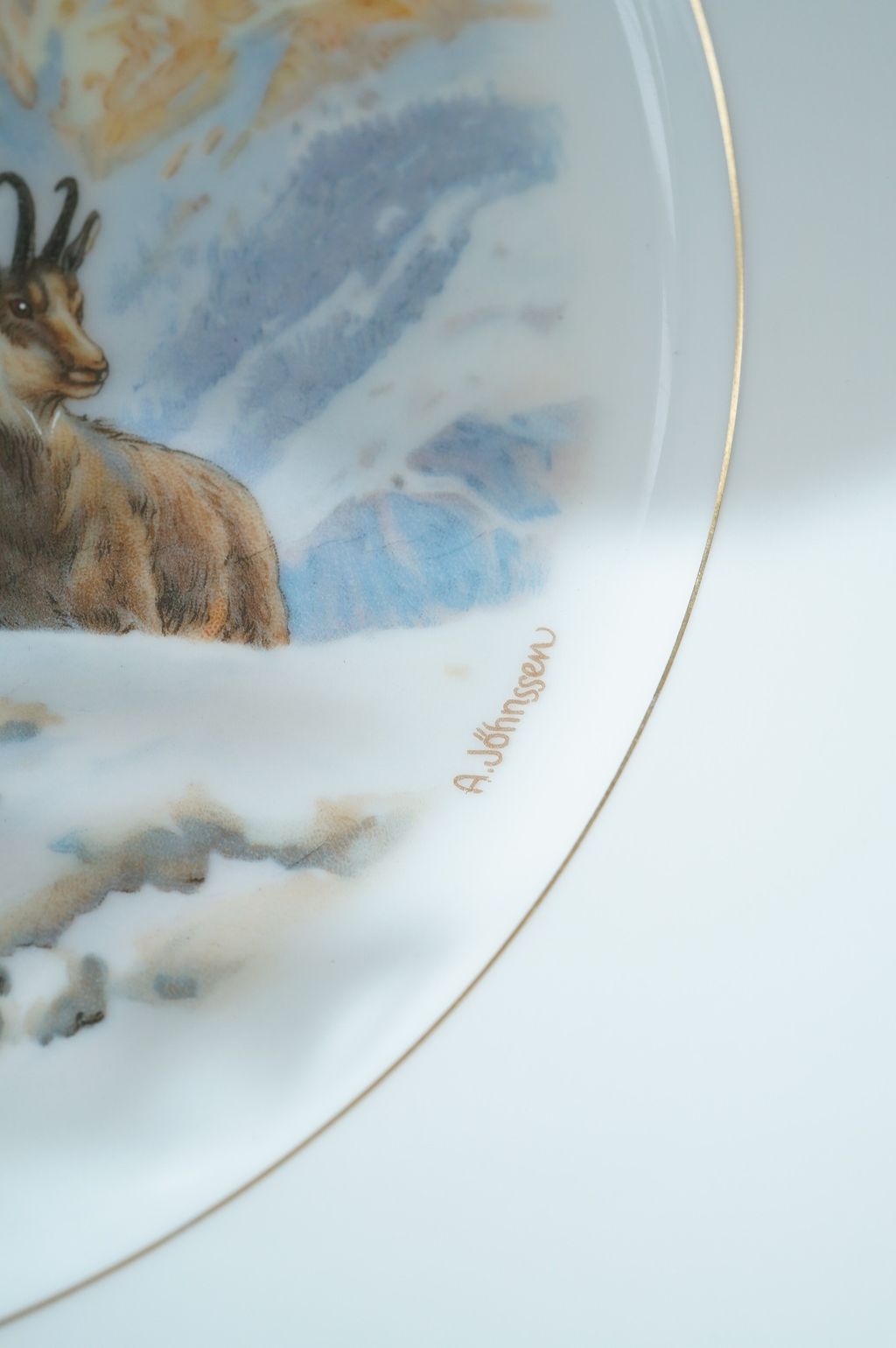 648412839_2364375524064147_5416329208358081698_n