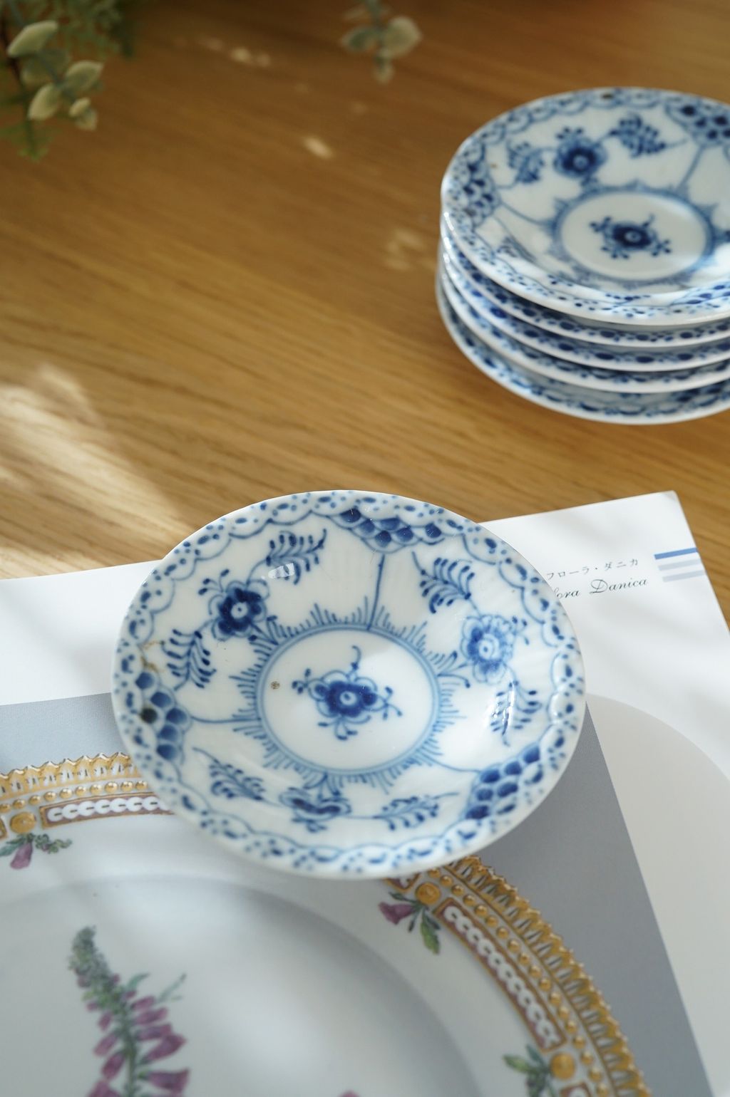 647261312_2364382047396828_5276681836009743887_n