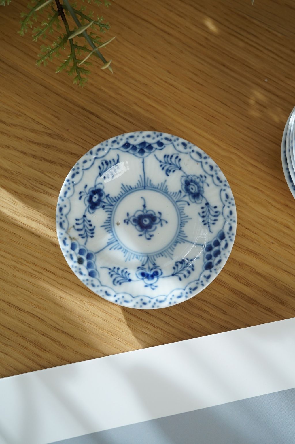 647053341_2364382084063491_8130512615104563186_n