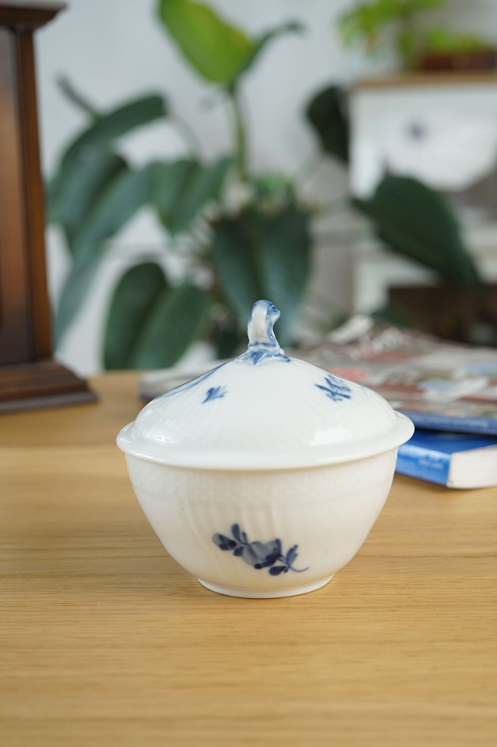 649487622_2368365033665196_4574945326222272139_n