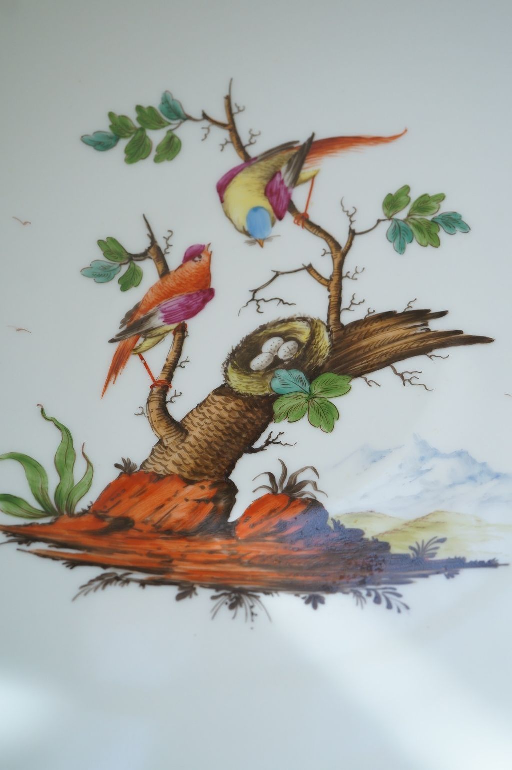 651606187_2369918820176484_2148370925892293212_n