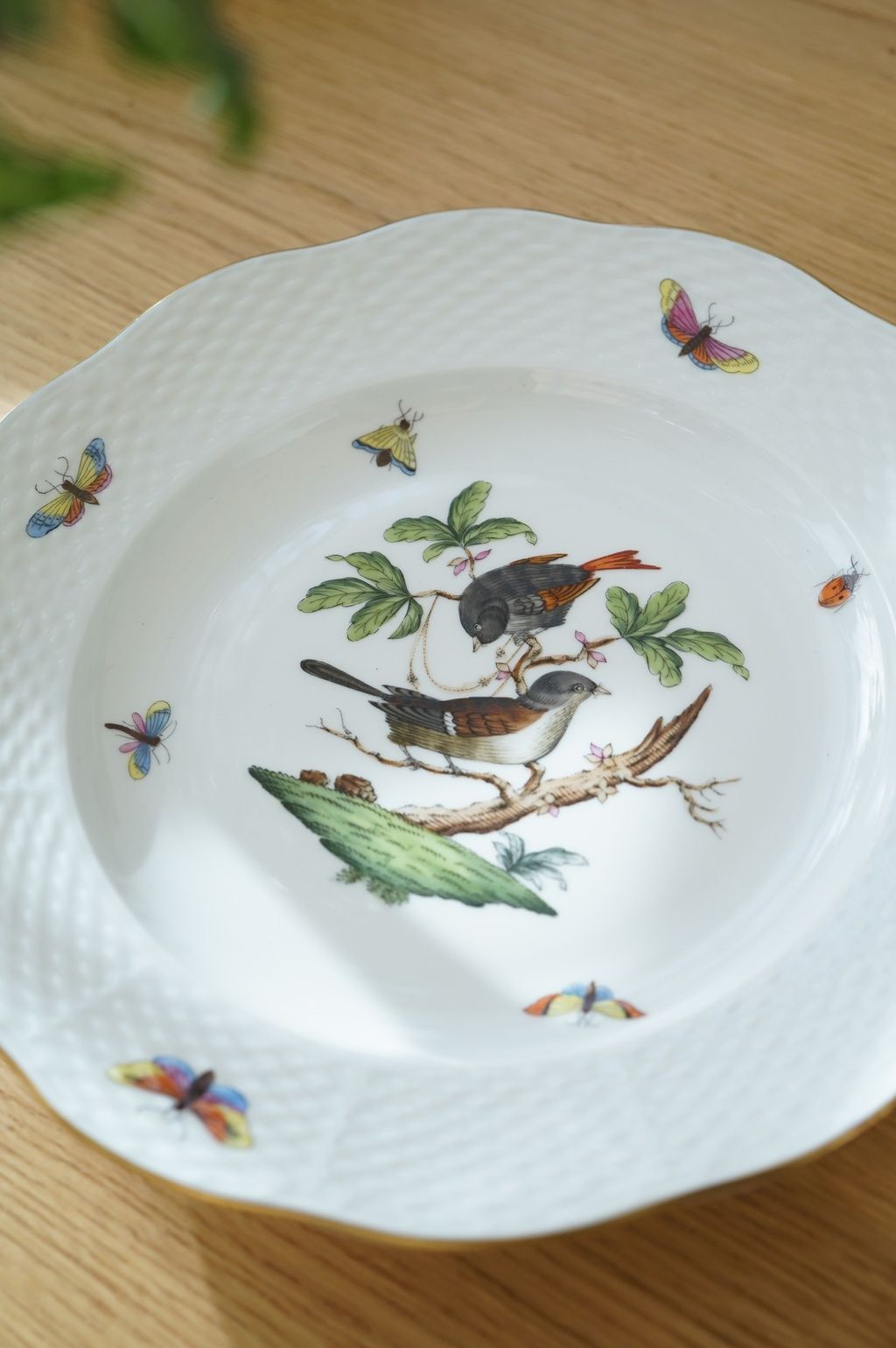 650347765_2369920743509625_3726025790718664714_n