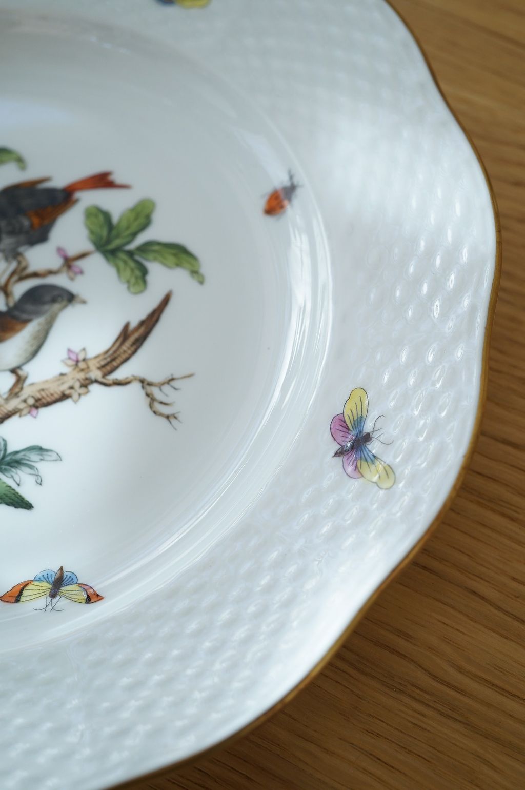 651239406_2369920813509618_2914078152162058998_n