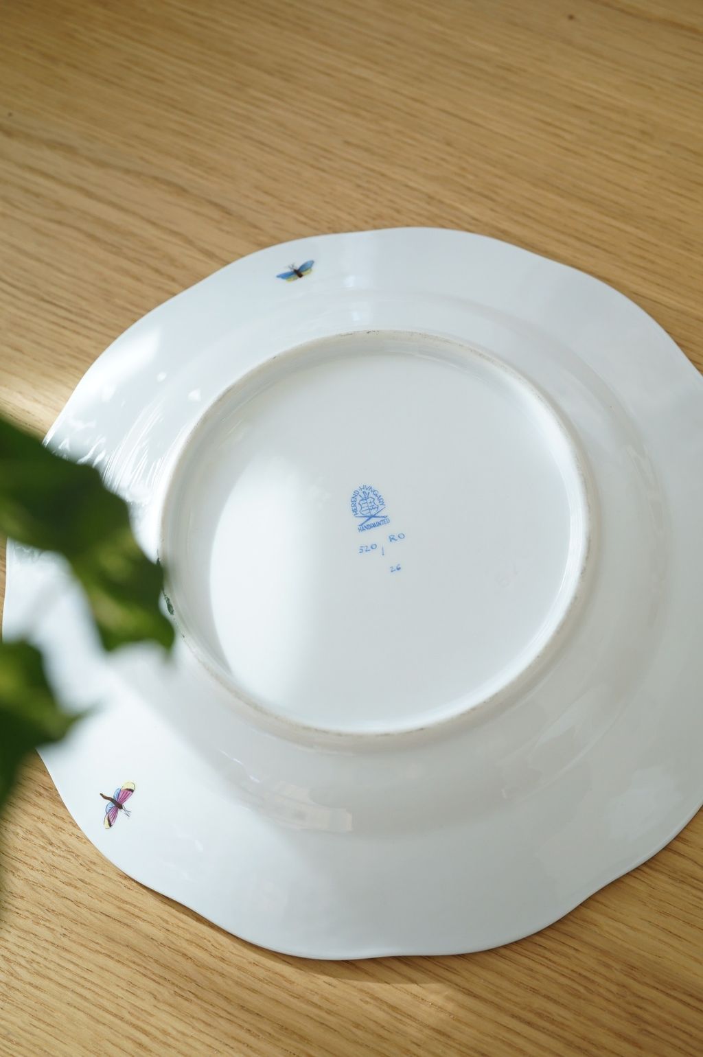 651189673_2369920840176282_6889531008594992015_n