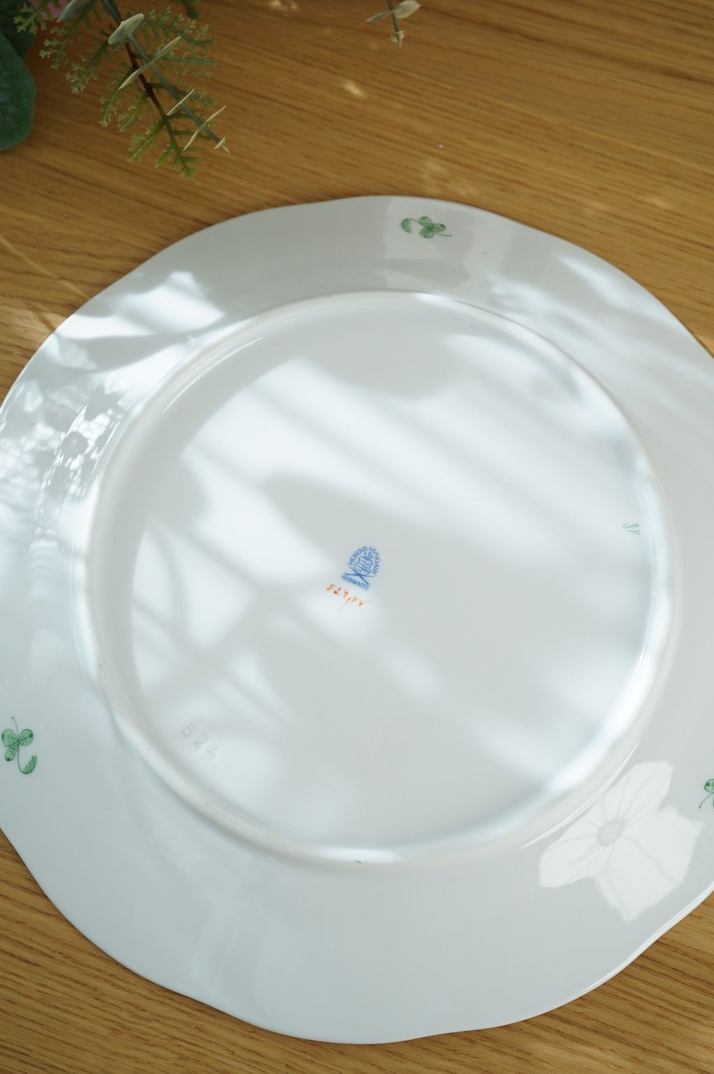 648327220_2364383104063389_8839860565767666086_n