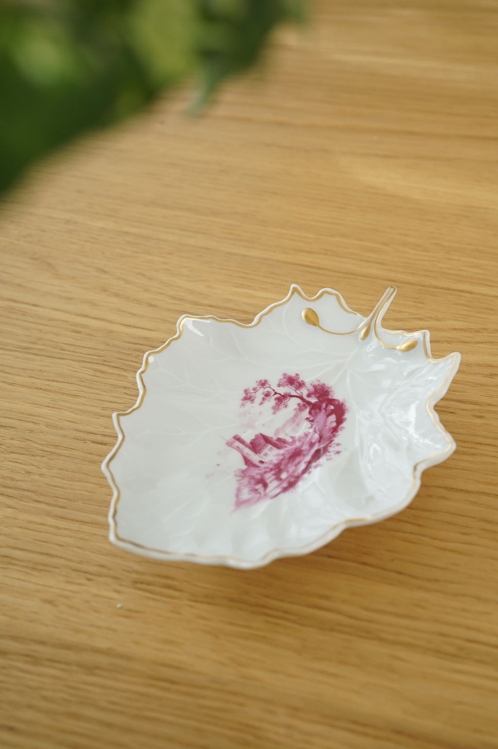 653985419_2375770369591329_2784944756167303703_n