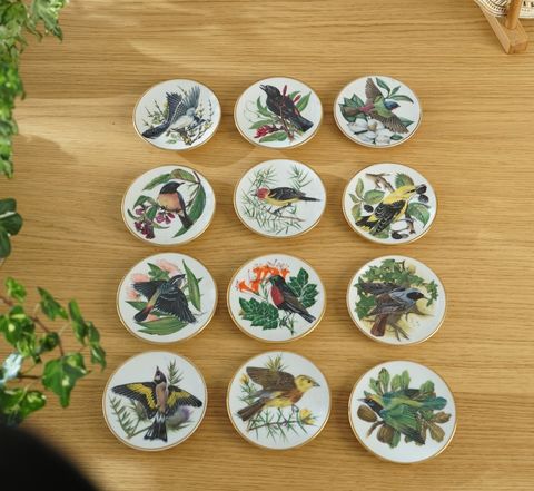 654800618_2375821092919590_6963969075001681233_n