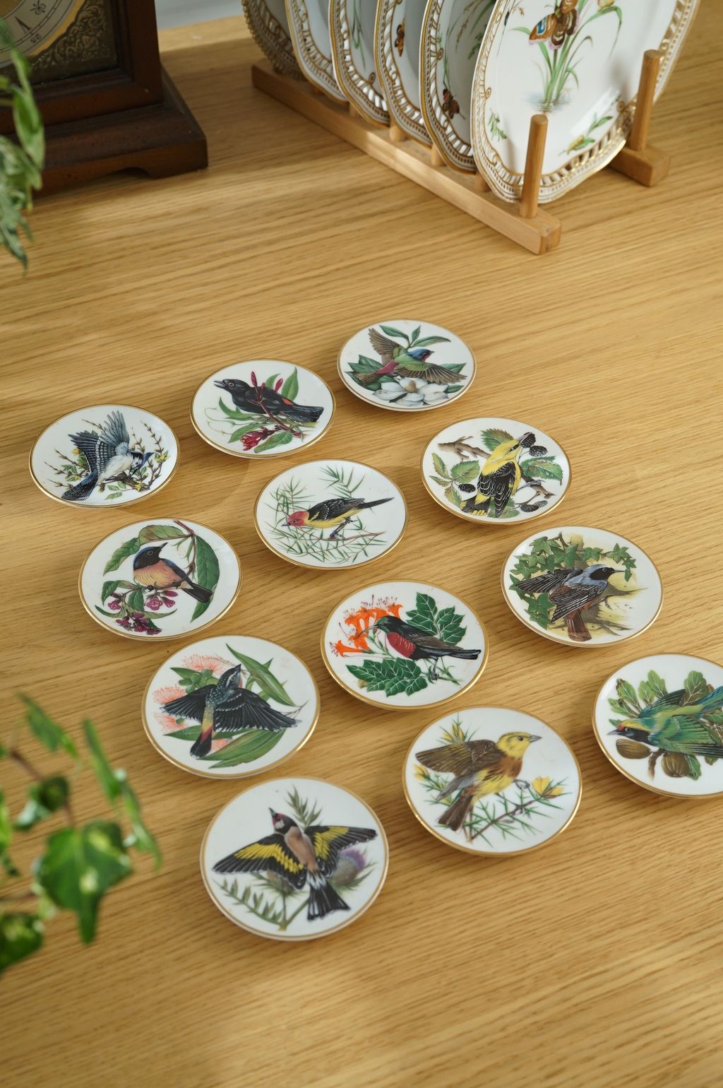 655689998_2375767962924903_7782370987506102234_n