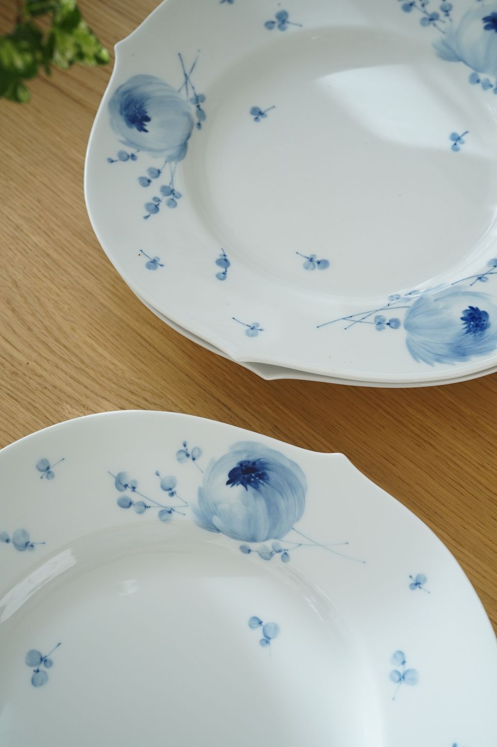 656809054_2380308342470865_5311133636805272388_n