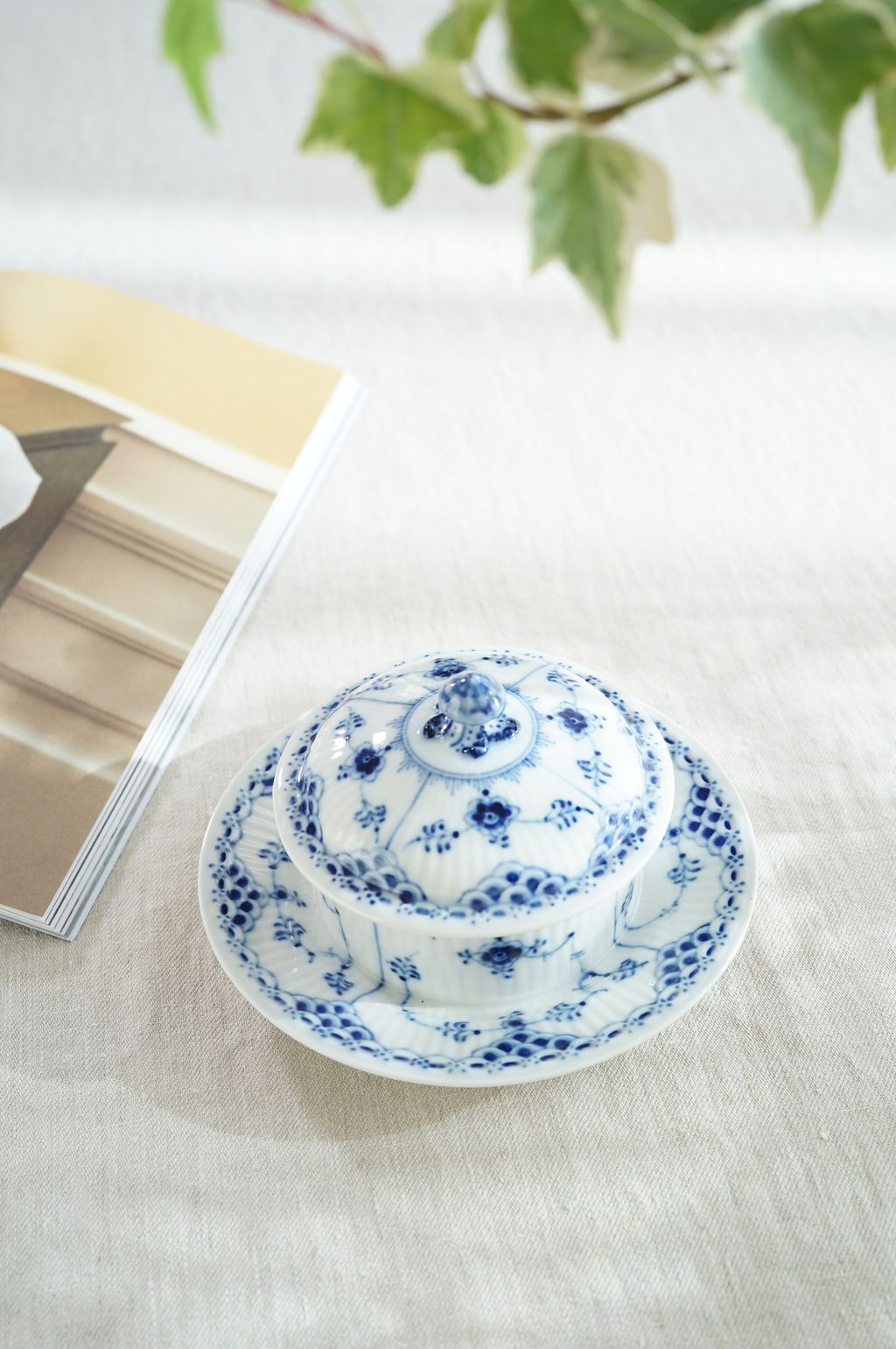 662689322_2390238094811223_3799627795206447185_n