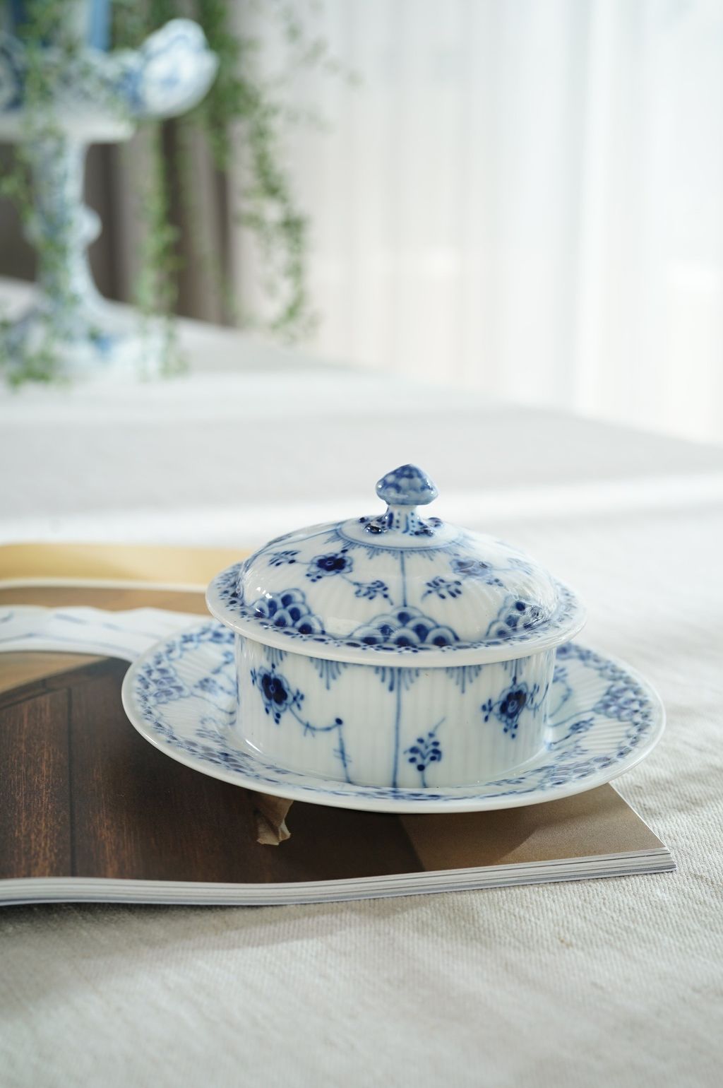 665923834_2390238131477886_4857838017750727213_n