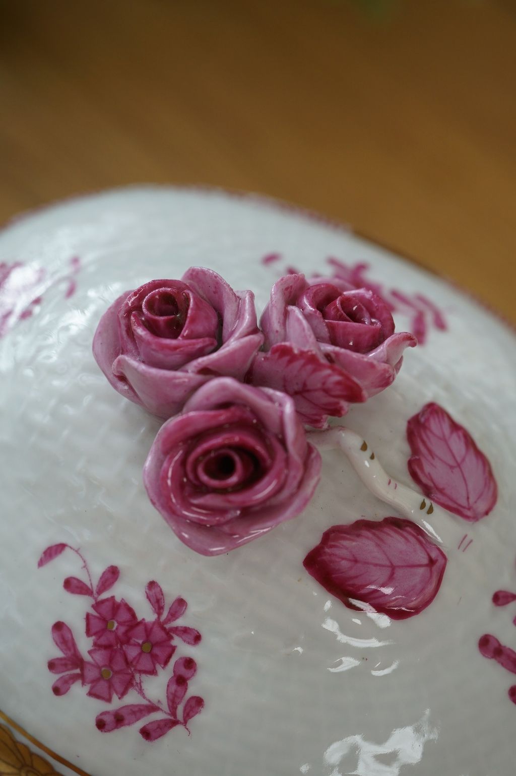 646738251_2362854554216244_8053896348697414536_n