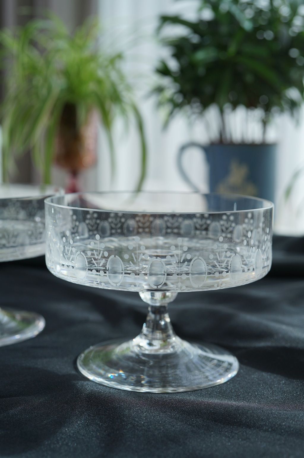 662348224_2390198771481822_8140530883199446027_n