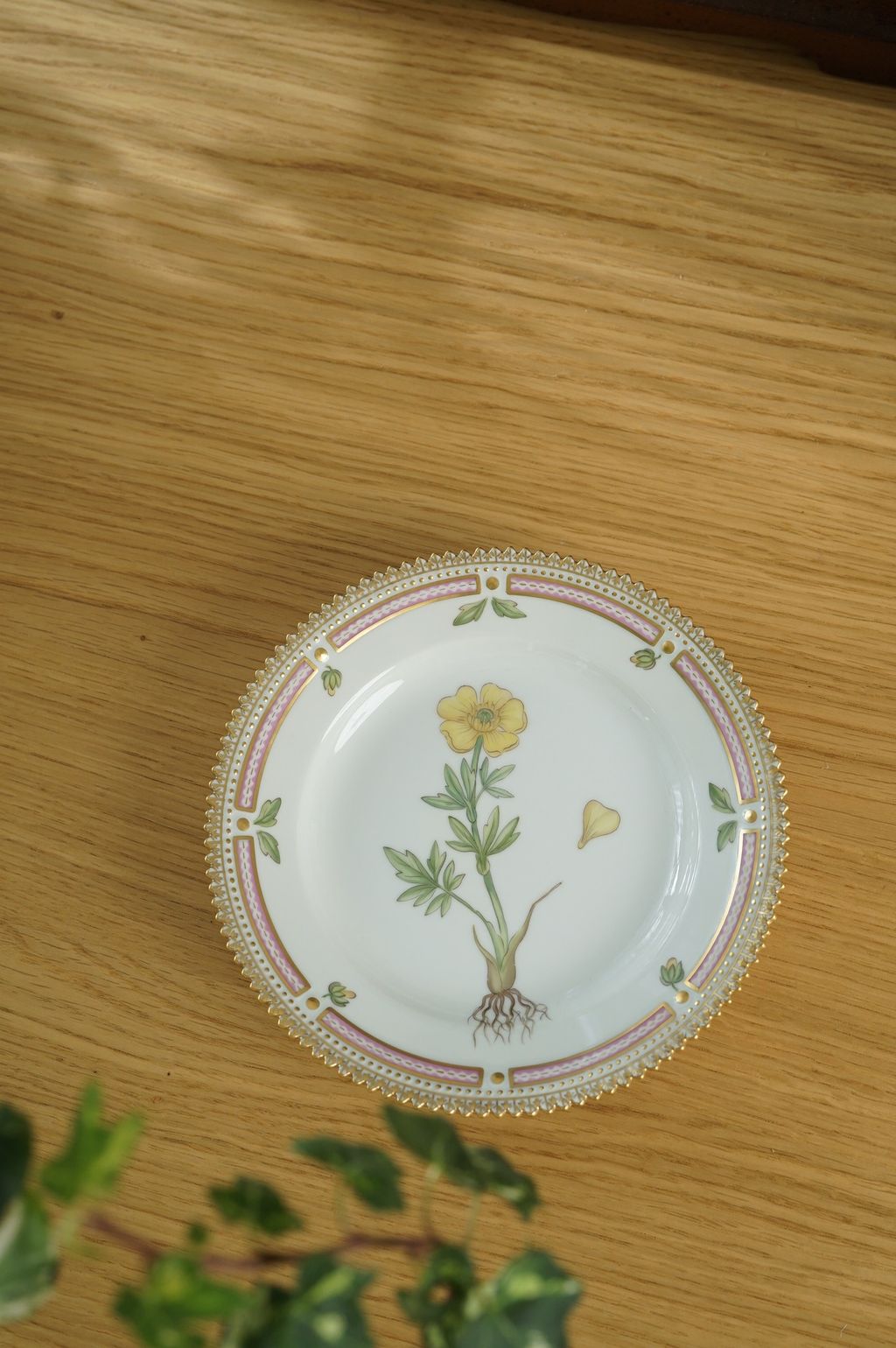 659029169_2384890315346001_7777288475703568520_n