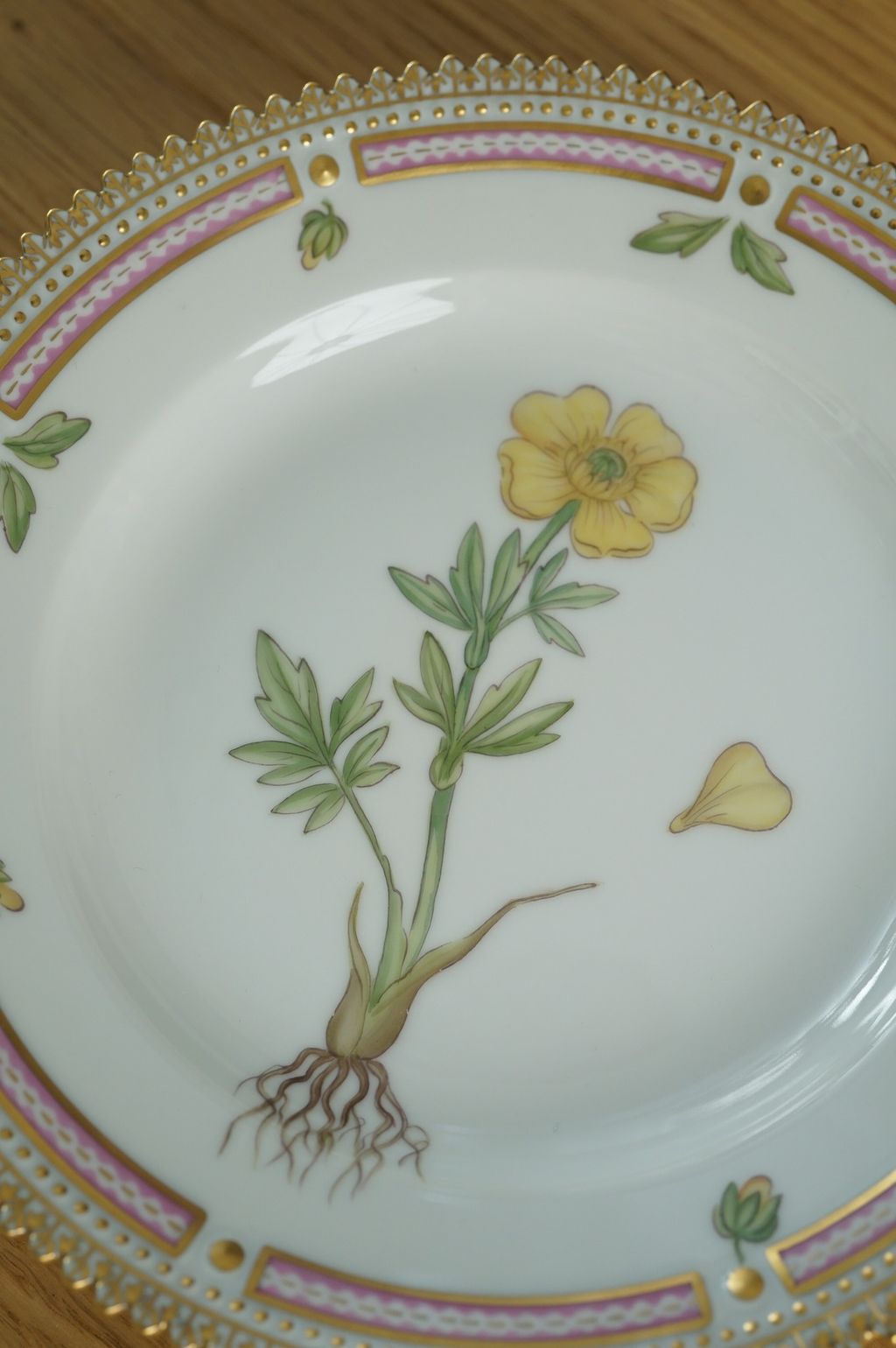 656900518_2384890292012670_3470645044618499701_n