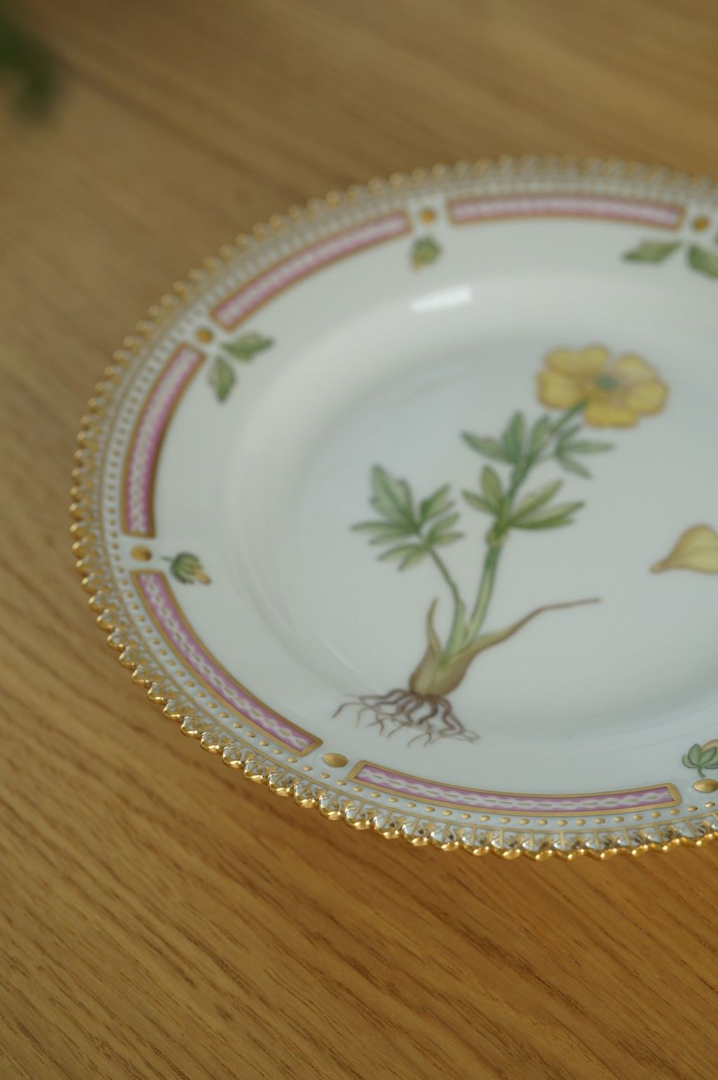 658955653_2384890408679325_8232285304008450391_n