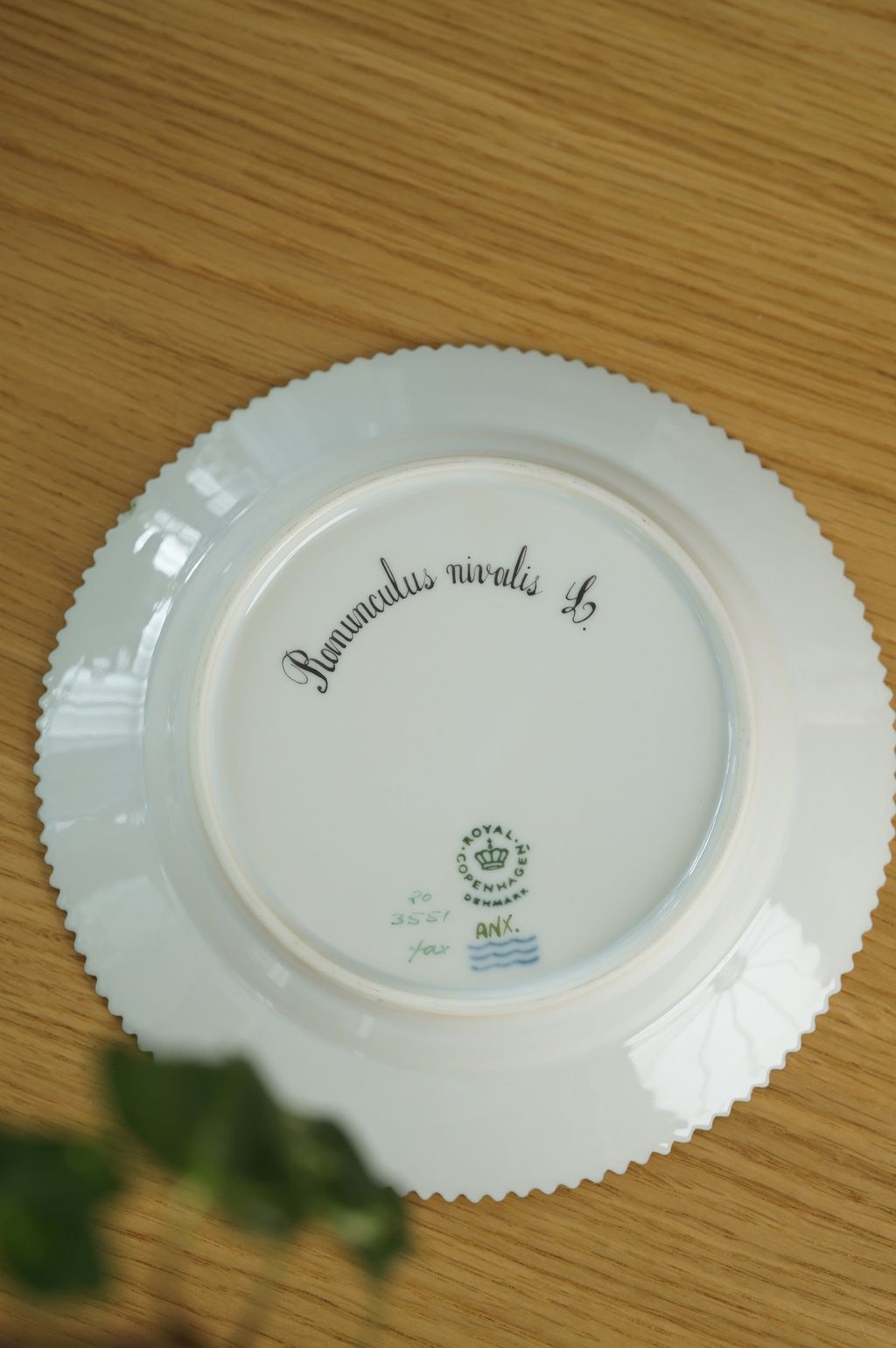 658336614_2384890505345982_2958787763250029472_n