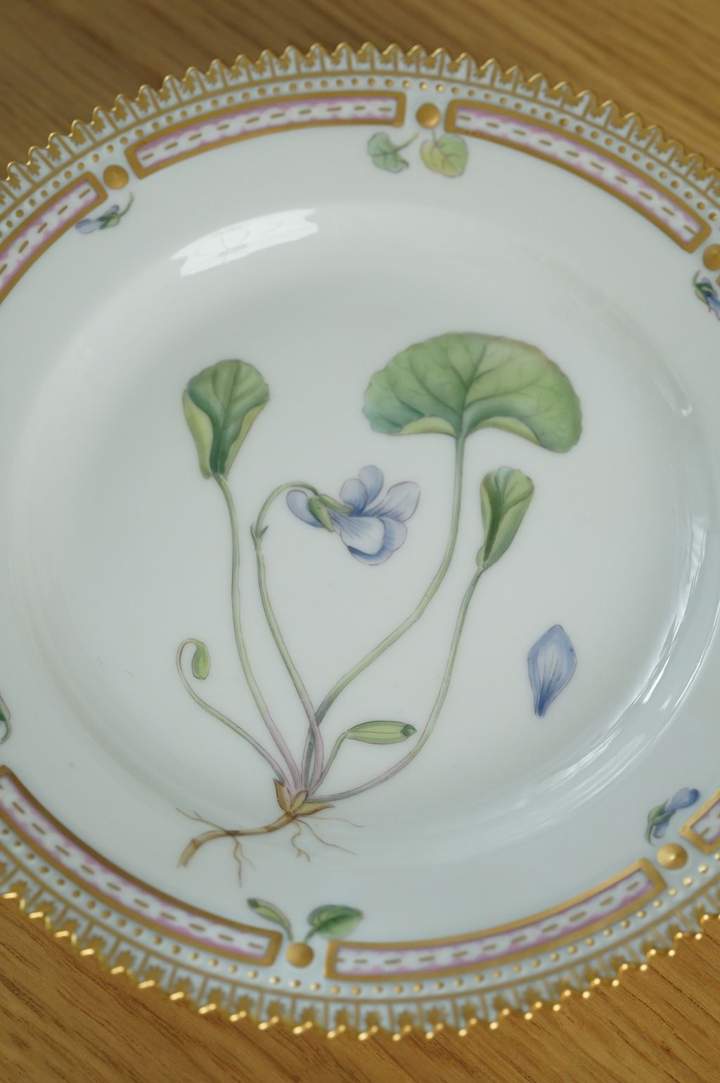 657364419_2384889832012716_3918782184330116150_n