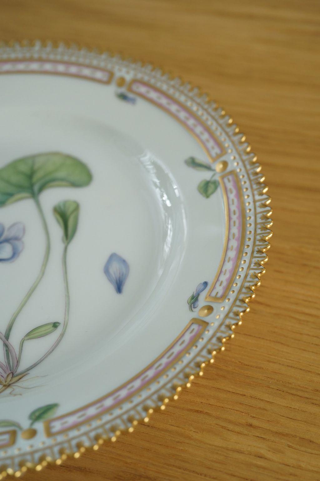 657165166_2384889942012705_3215231856082883370_n