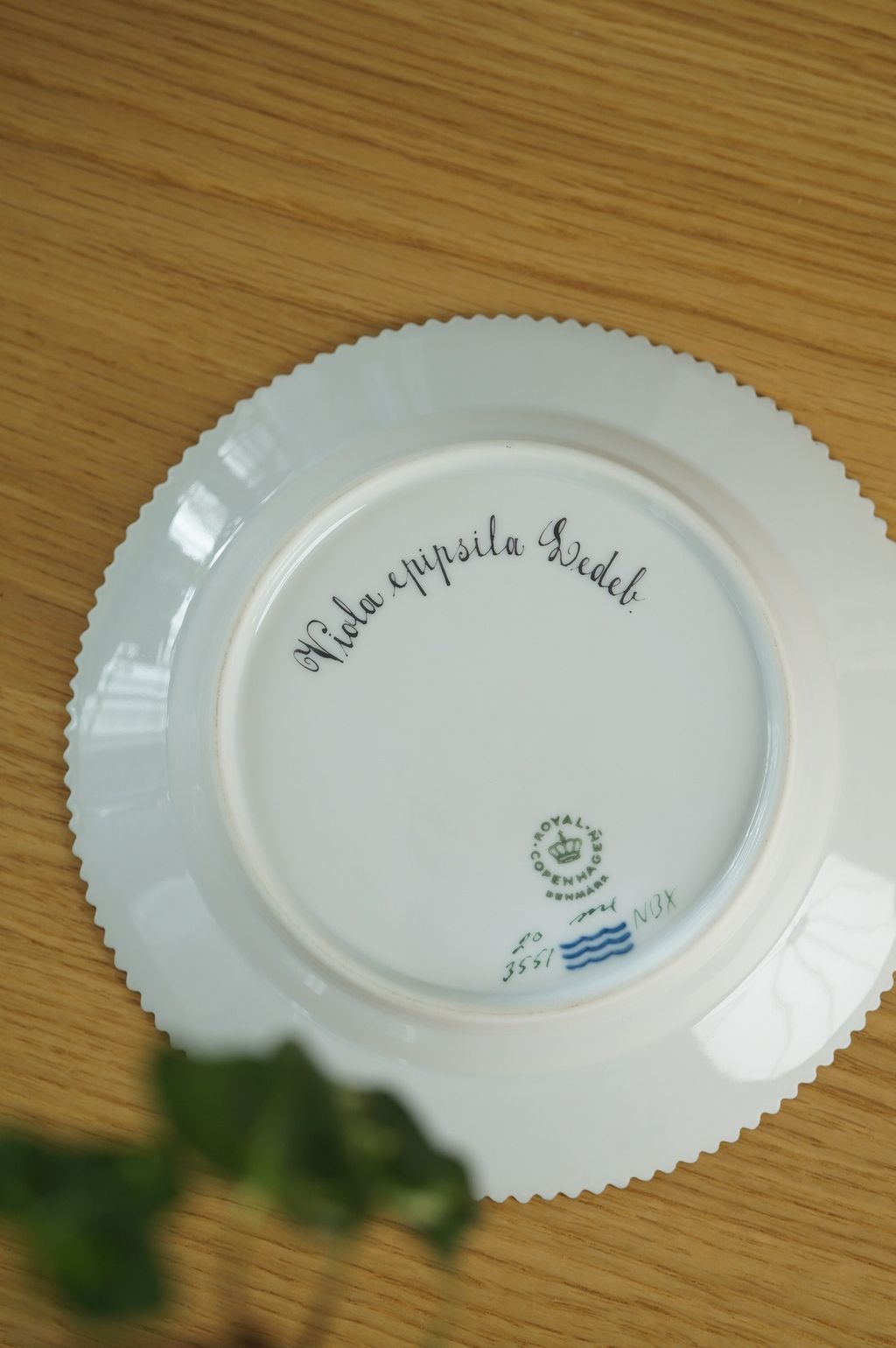 658426315_2384890038679362_8801898303392988028_n