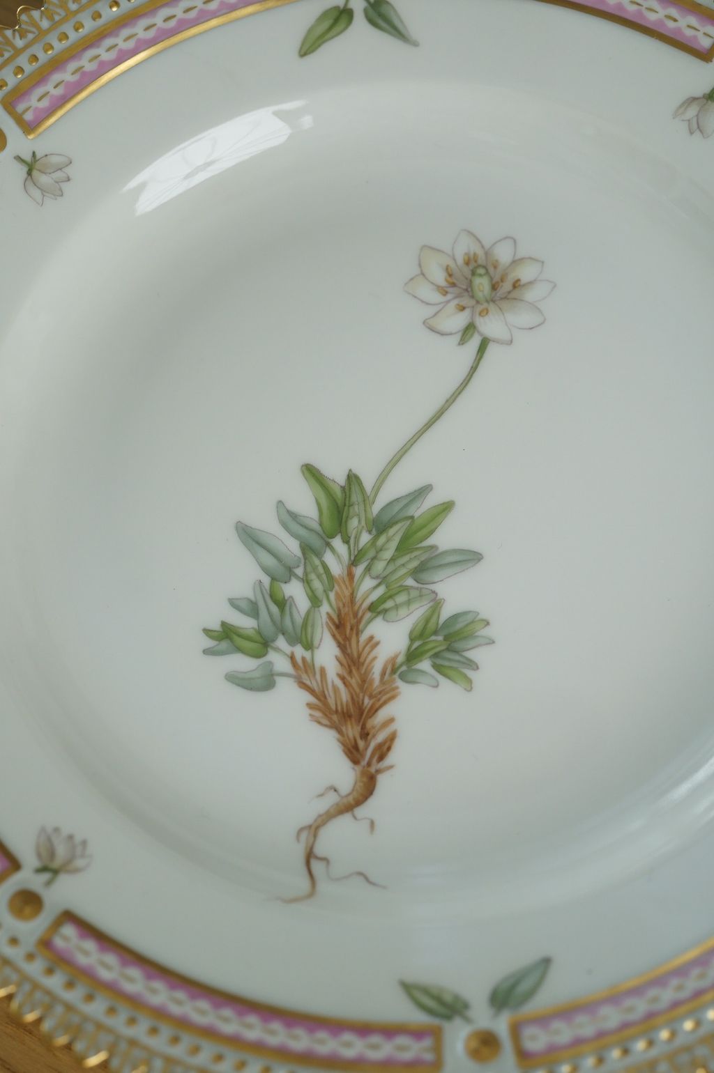 659124674_2384889168679449_7742432483918553017_n