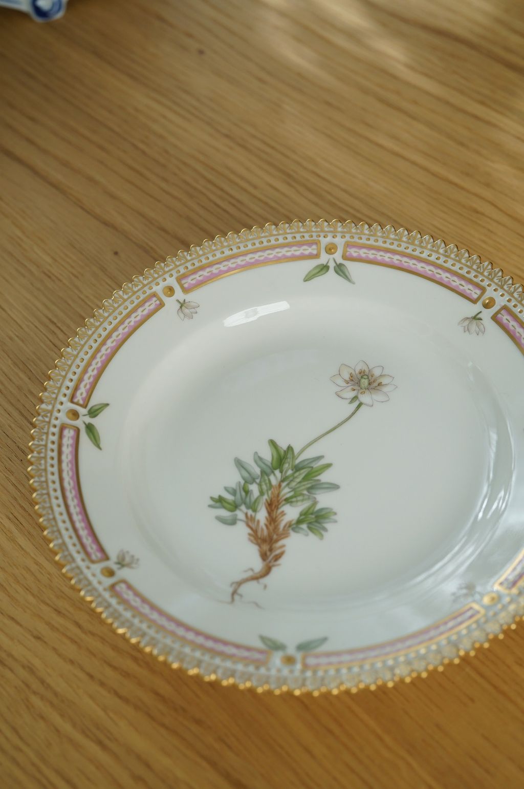 660861964_2384889248679441_6246040481606235754_n