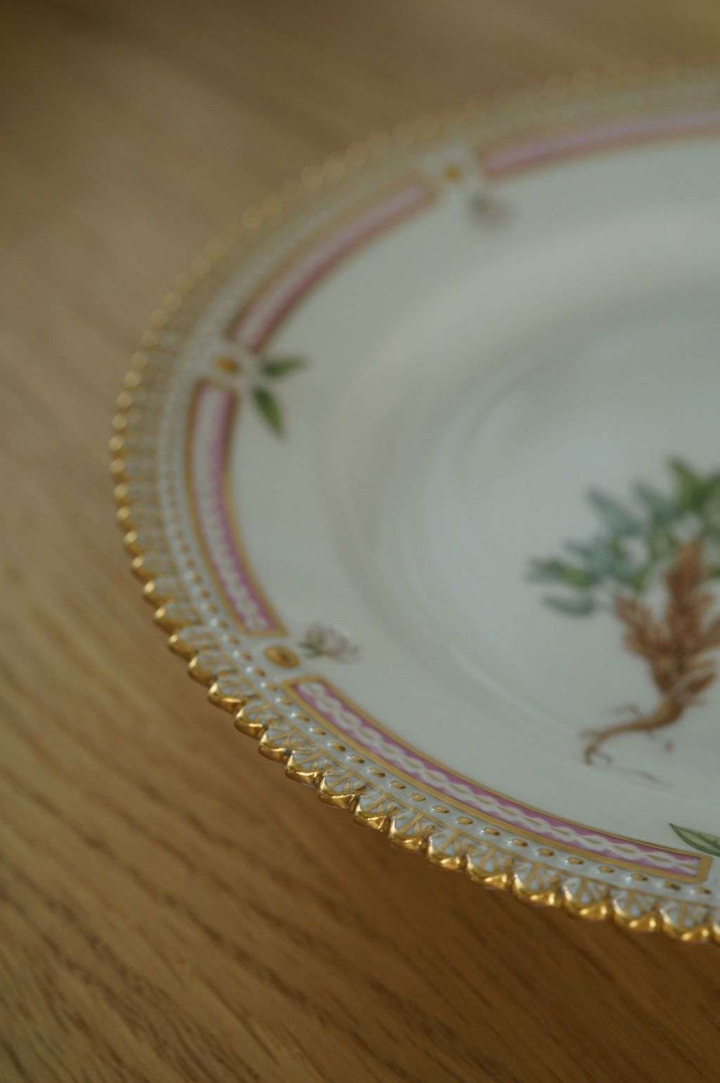 659152378_2384889312012768_785162494394517966_n