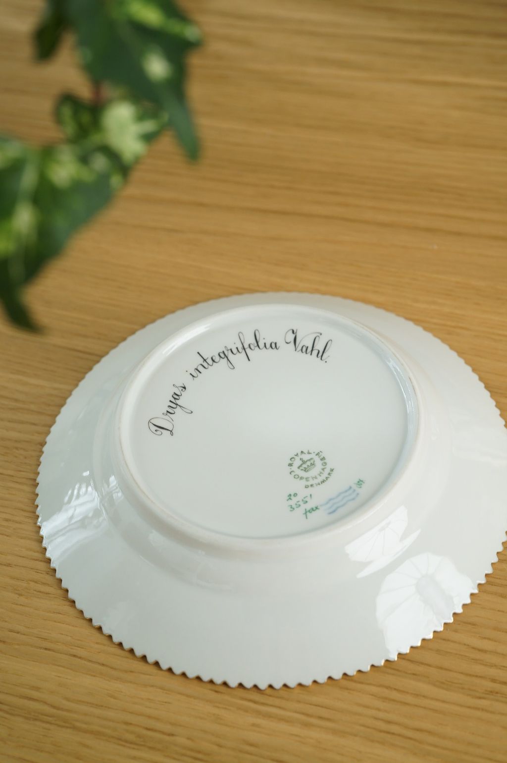 658427414_2384889392012760_7162369070416081863_n