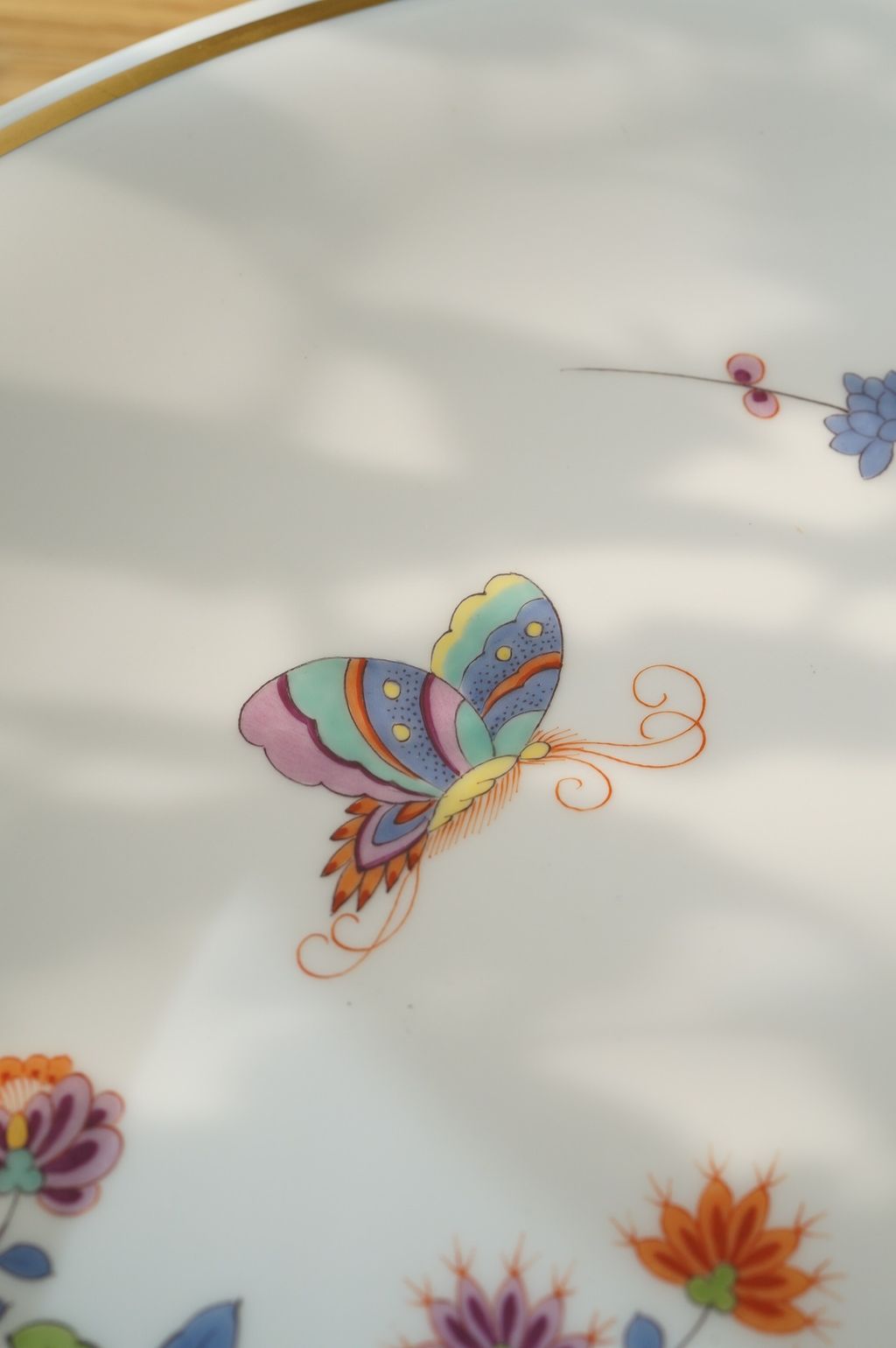 667949545_2393981841103515_7352201224325337407_n