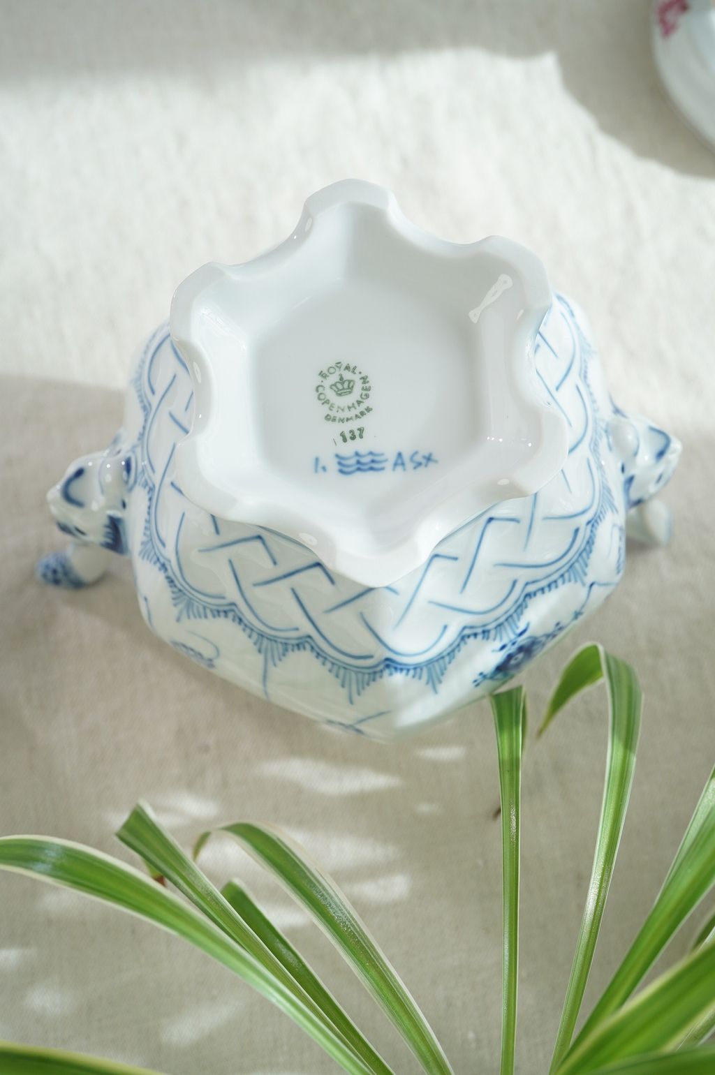 650088775_2369882446846788_7727243287846702392_n