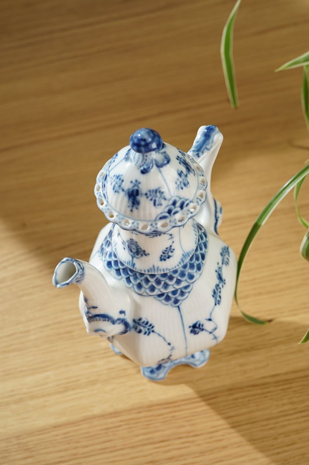 649459360_2366840370484329_7836007782896138862_n