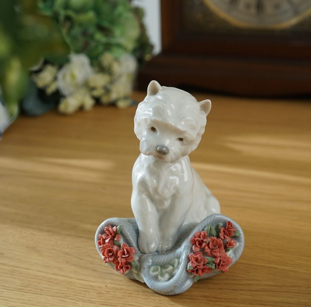 670453432_2396537094181323_7475693432339431902_n