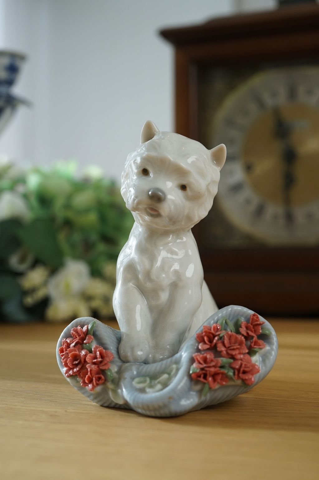 667860403_2393977041103995_7575220973225774201_n