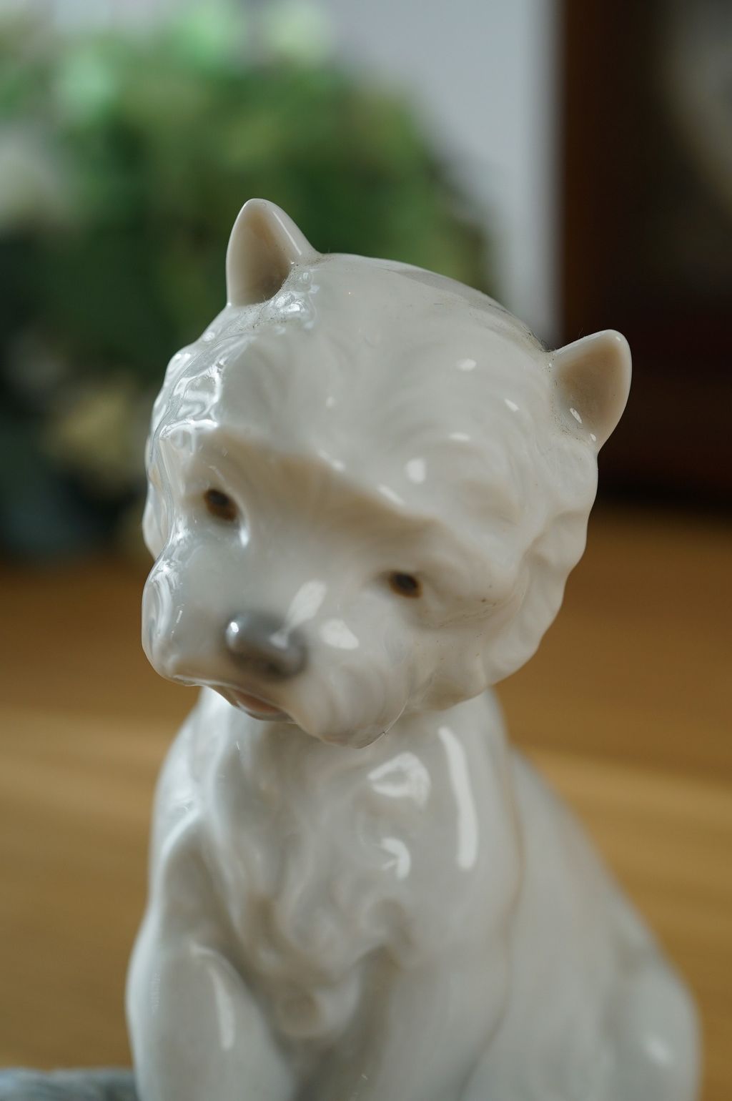 668592890_2393977037770662_5591765852022439605_n