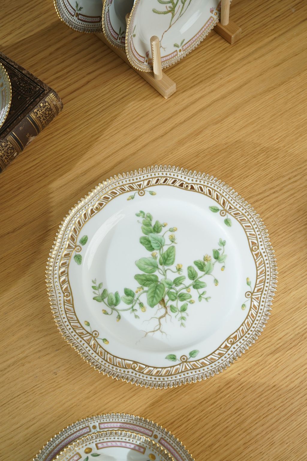 671183303_2399791733855859_4519383075818326440_n