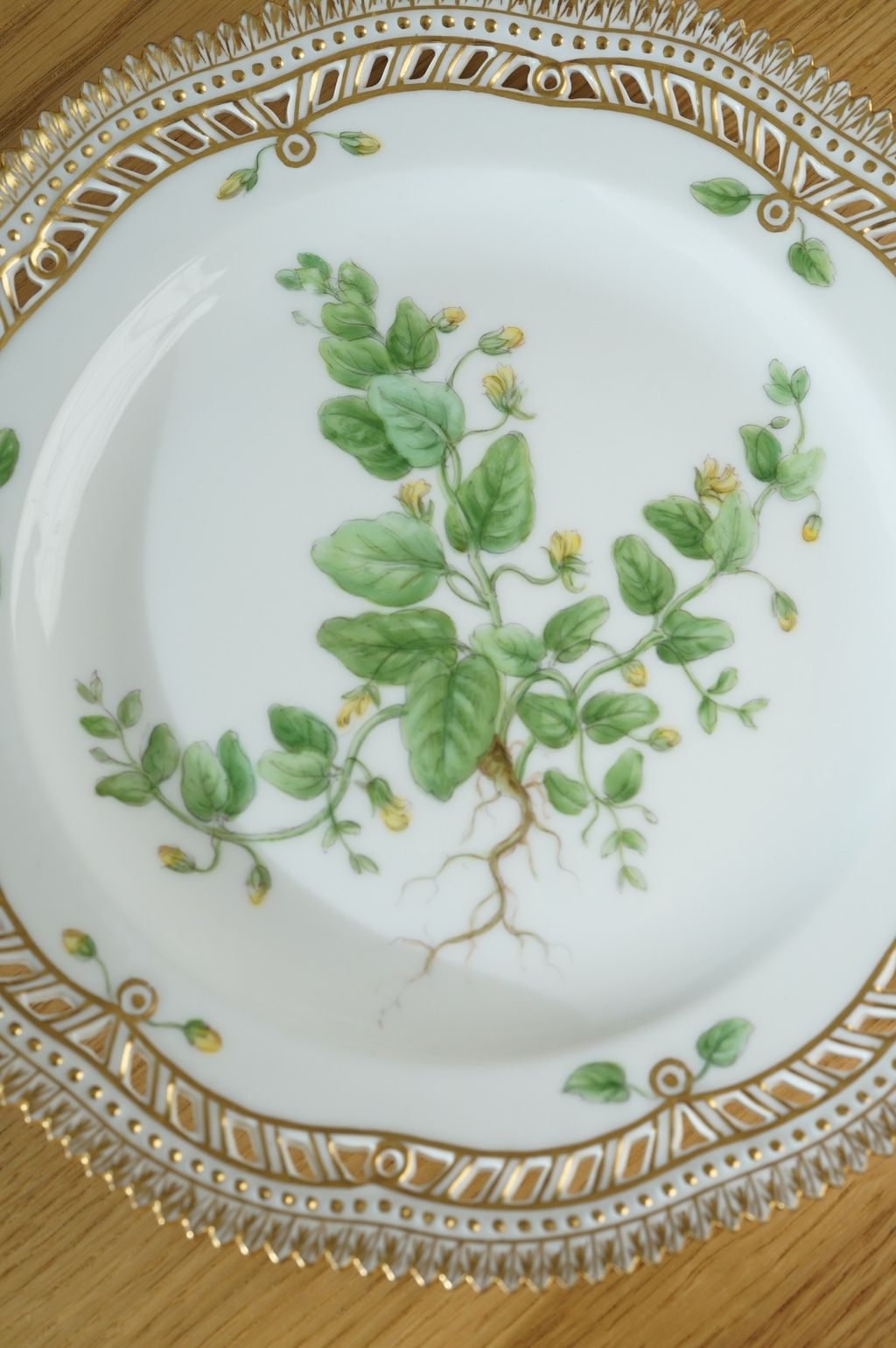 673126507_2399791833855849_4267018720072660410_n