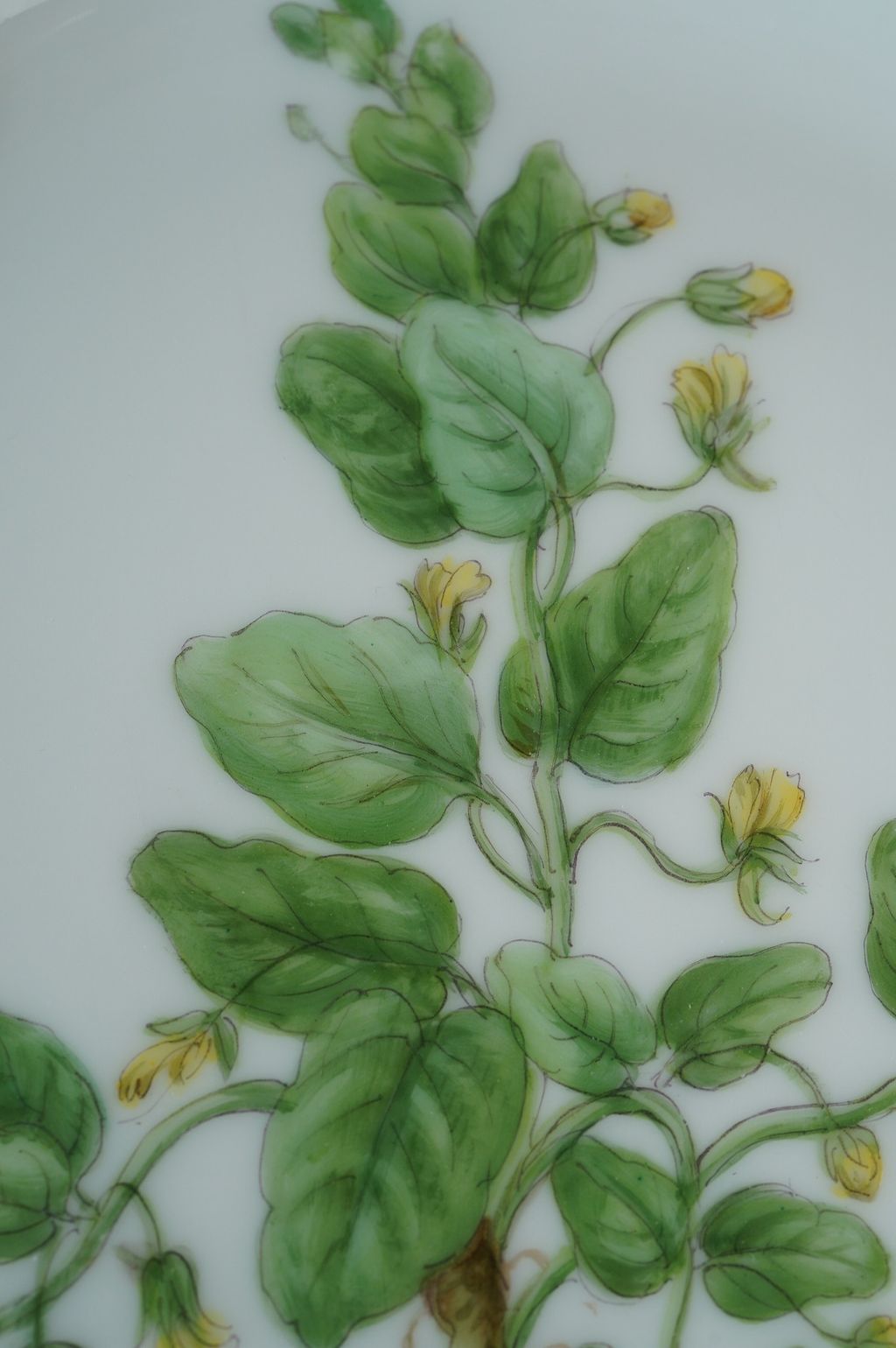 671176730_2399791853855847_935083223718763152_n