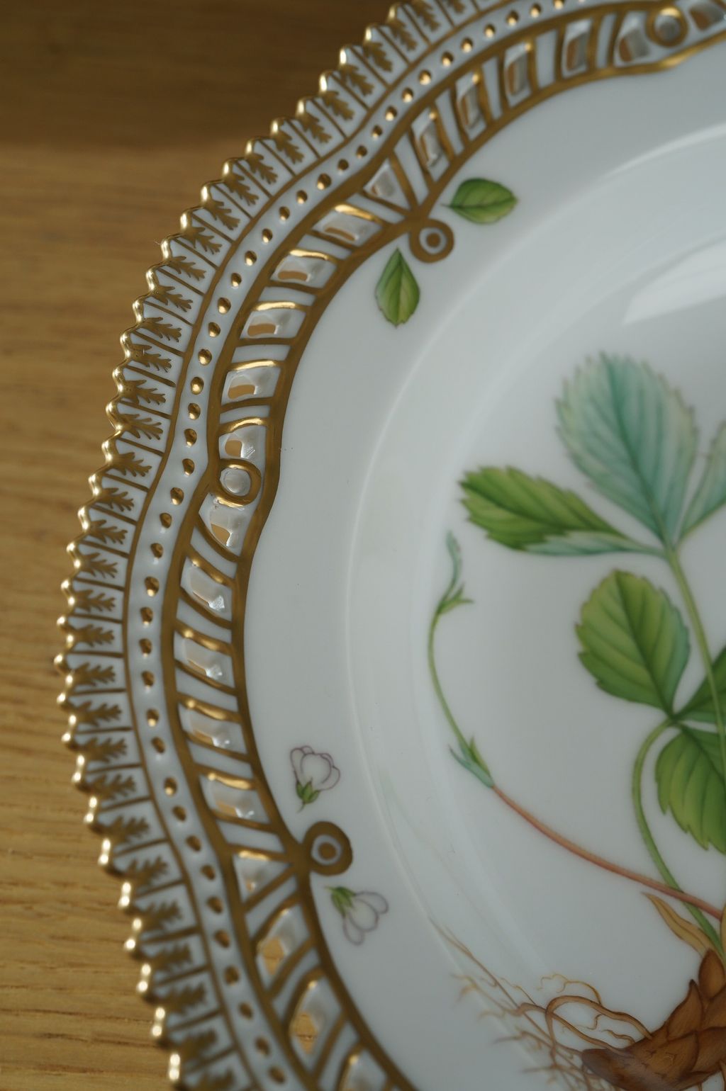 671156193_2399790337189332_3149914015405273562_n