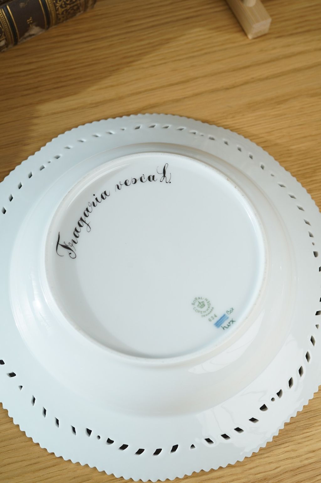 672678726_2399790377189328_2440275603584427115_n