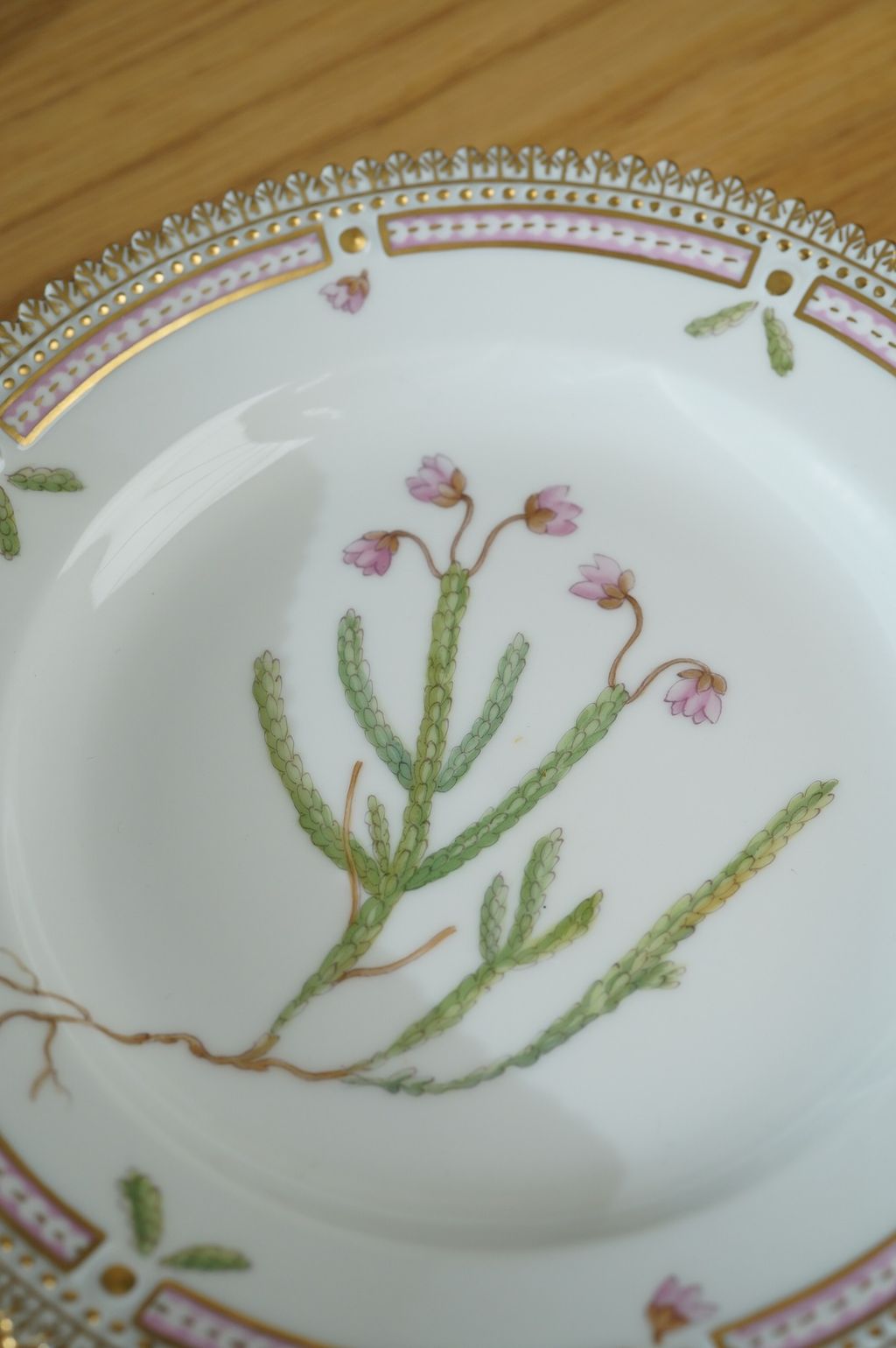 673596735_2399772653857767_1969822260956336663_n