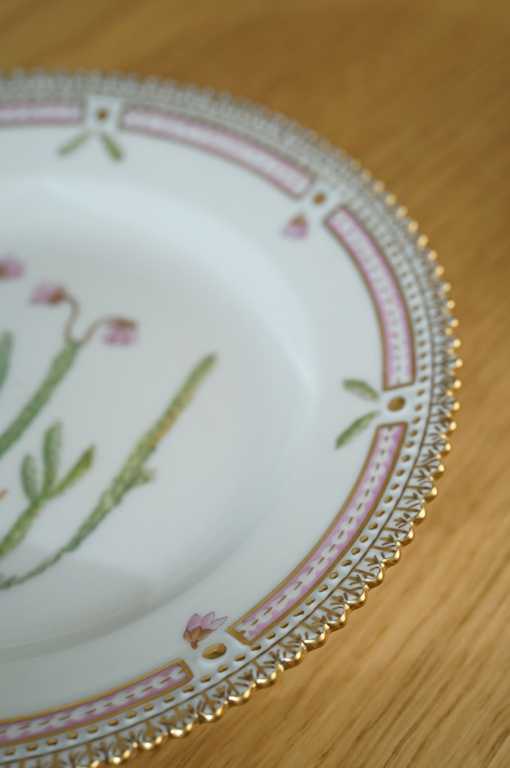 672688248_2399772683857764_4549143642105205243_n