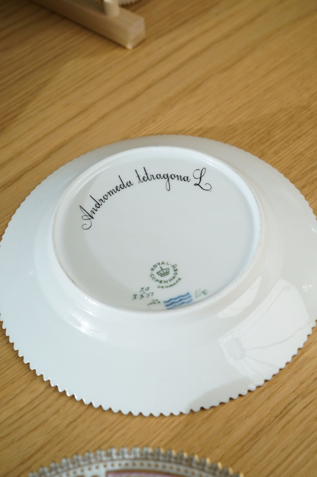 674547133_2399772680524431_5807735455450275953_n