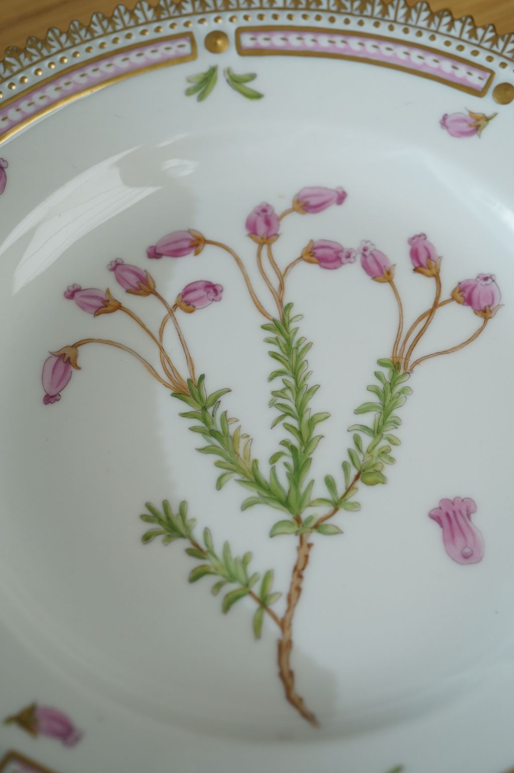 672062313_2399771780524521_2738497021061774627_n