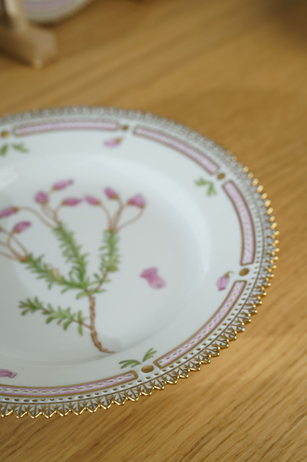 671616810_2399771910524508_7712316266455611496_n